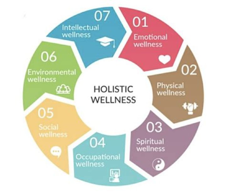 Discoveries And Insights For Holistic Well-being