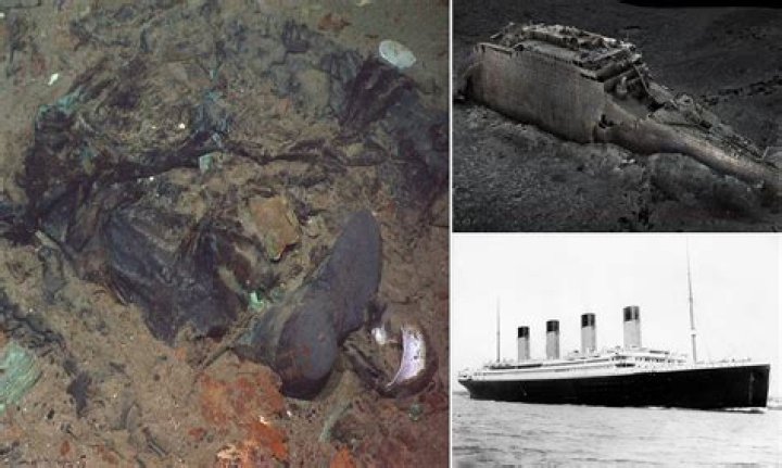 Human Remains Found In Cars